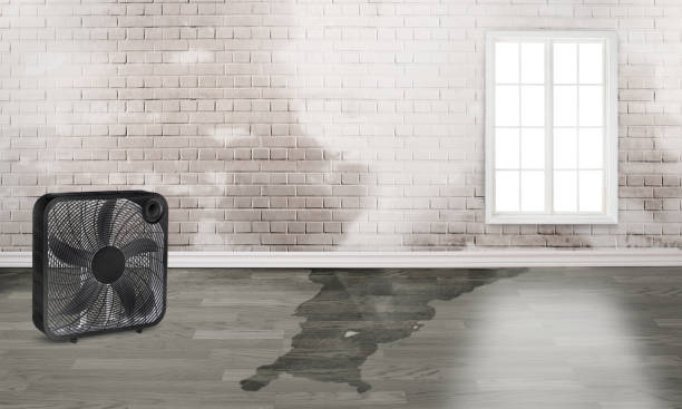Best 24/7 water damage repair  in Lyndon, KY
