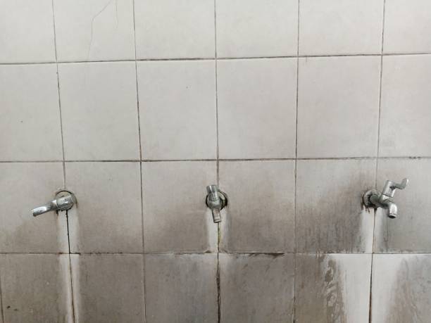 Best Carpet water damage restoration  in Lyndon, KY