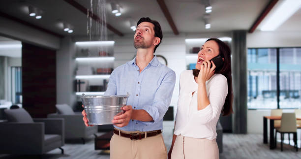 Best Basement water damage restoration  in Lyndon, KY