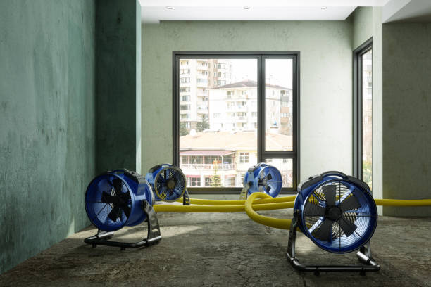 Best Ceiling water damage repair  in Lyndon, KY