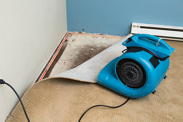 Reliable KY Water damage restoration Solutions